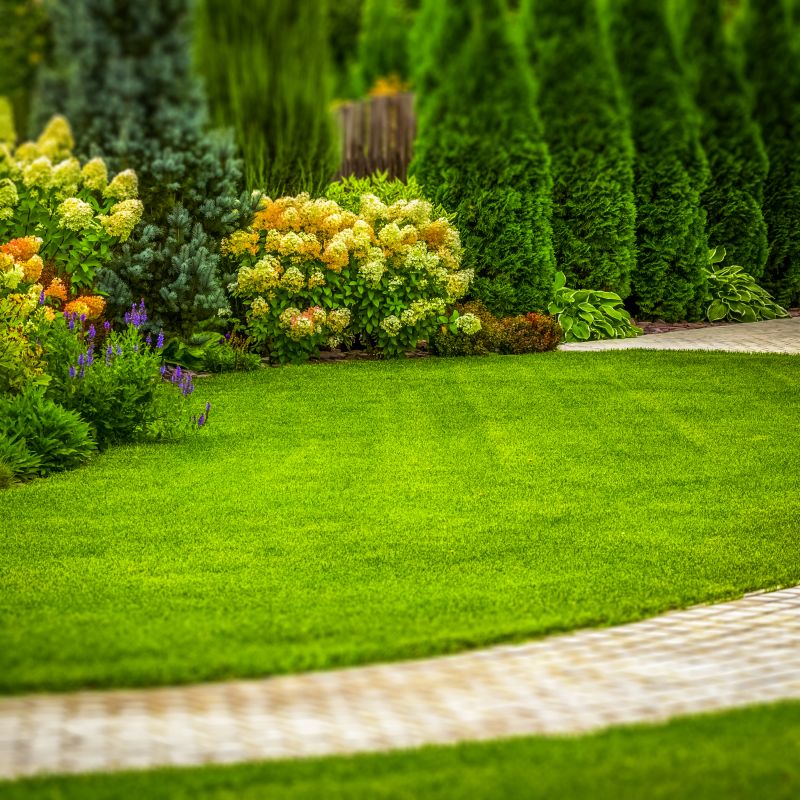 Park Landscaping