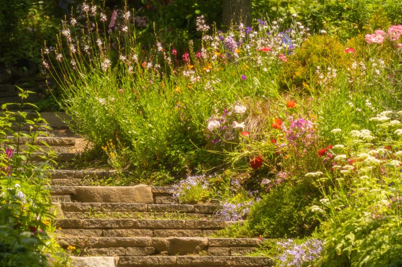 Pathway Landscaping