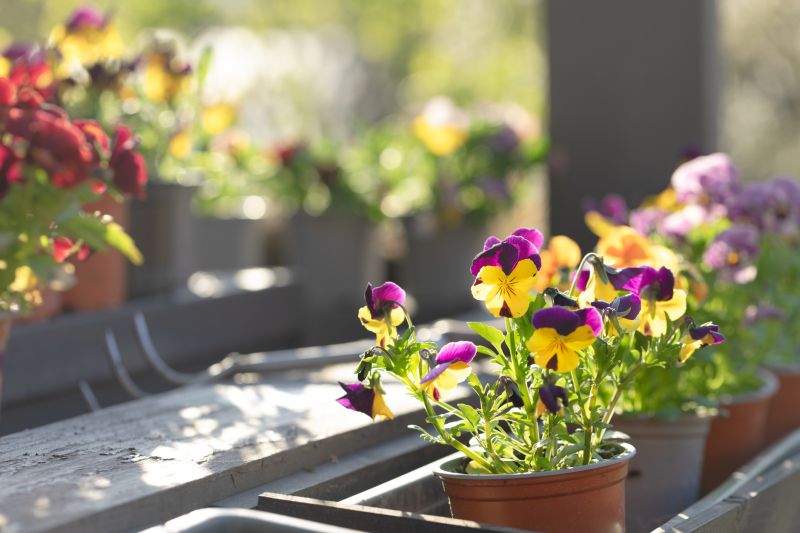 Perennial Flower Planting