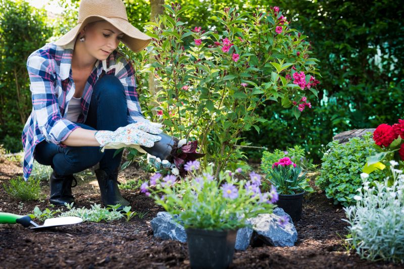 Perennial Flower Planting