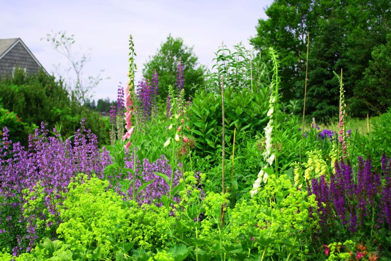Perennial Landscaping