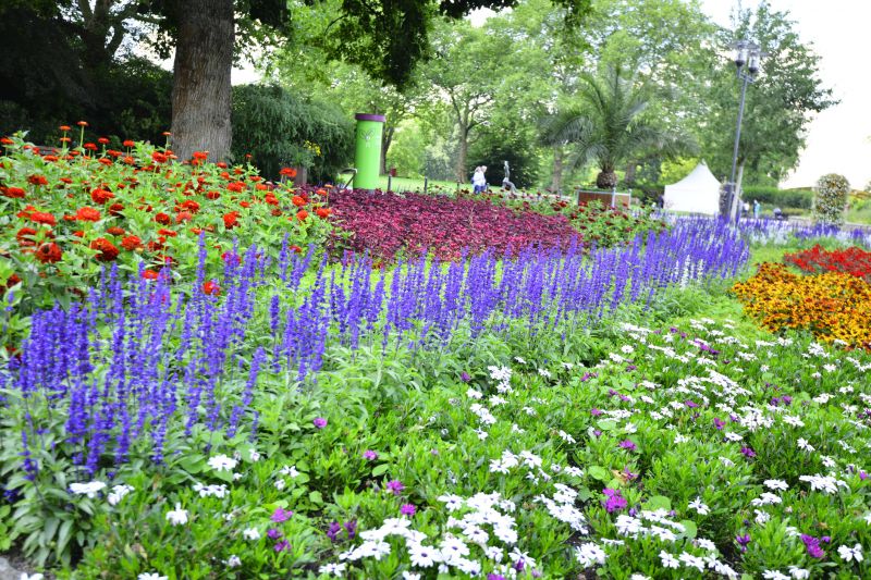 Perennials Planting