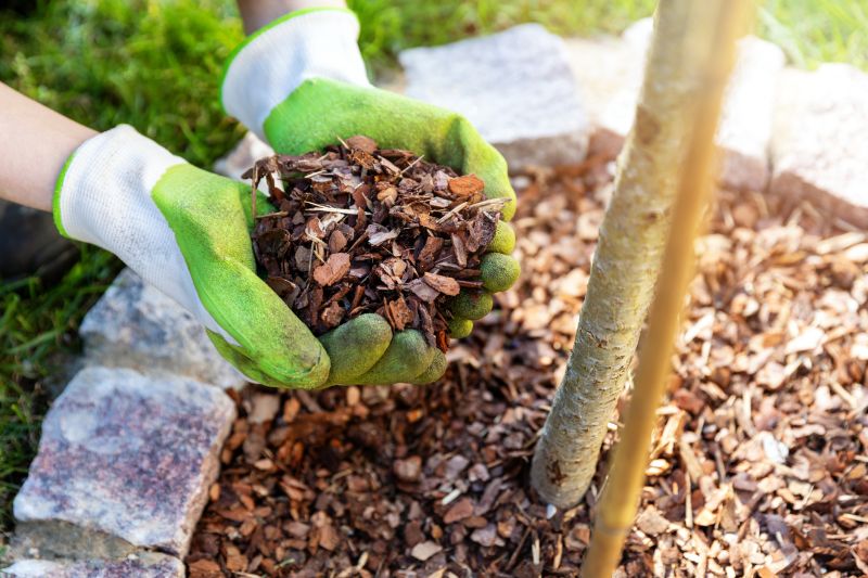 Pine Mulch Delivery