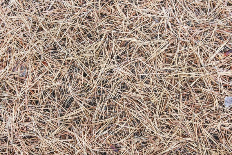 Pine Mulch Delivery