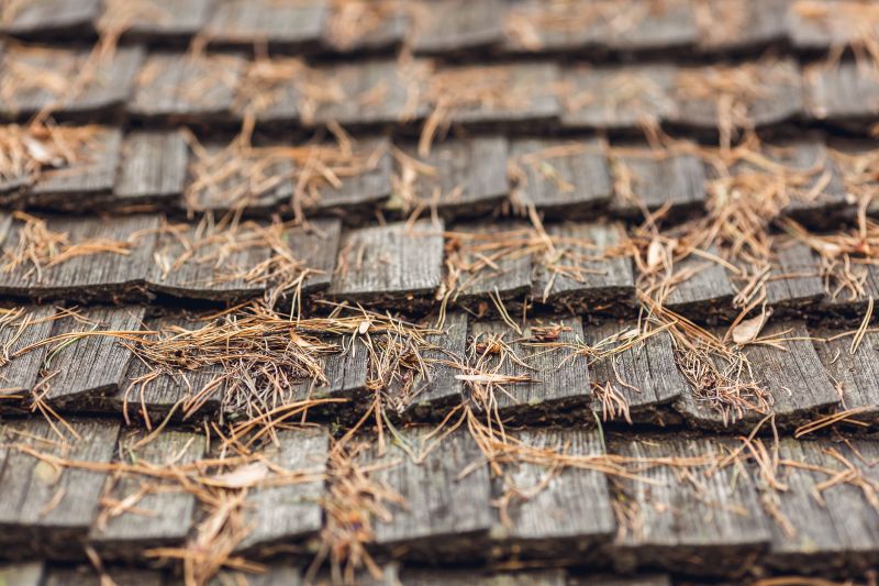 Pine Needles Installation