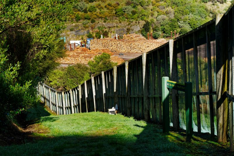 Privacy Hedge Installation