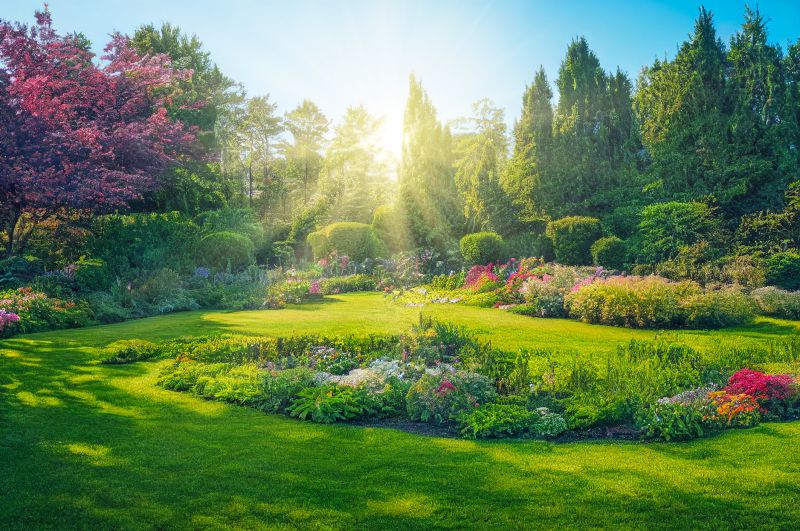 Privacy Landscaping