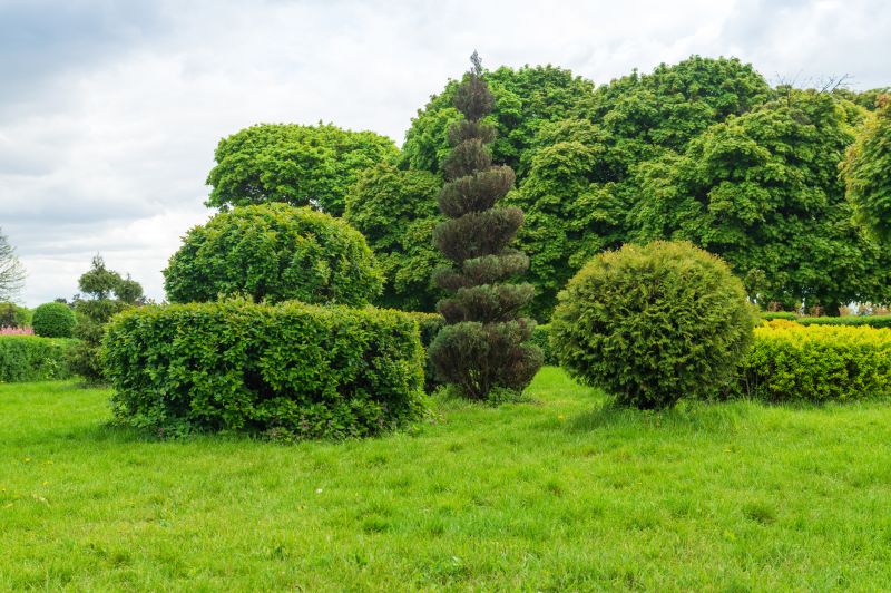Privacy Shrub Planting