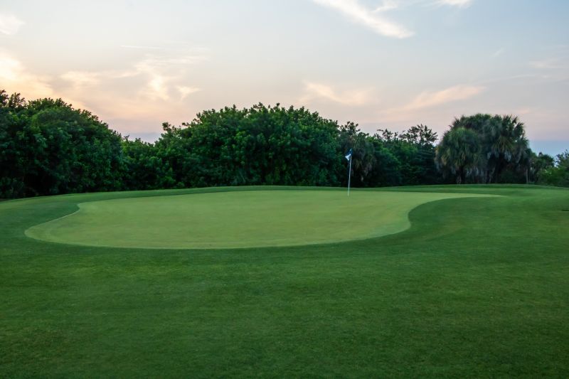 Residential Putting Green Installation