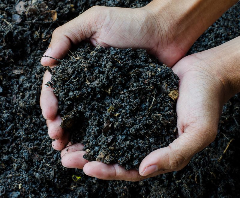 Rich Soil Delivery