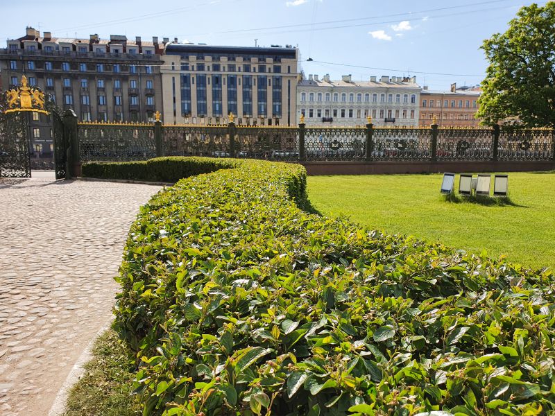 Shrub Landscaping