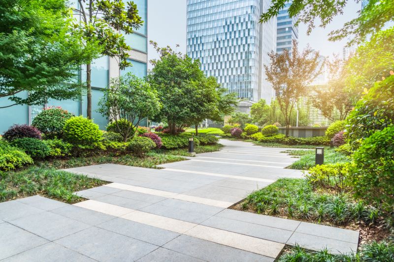 Shrub Landscaping