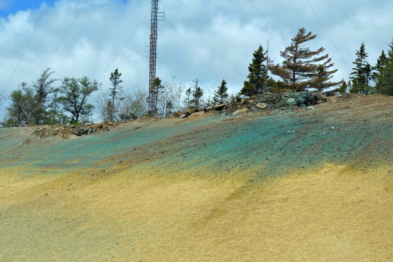 Slope Landscaping