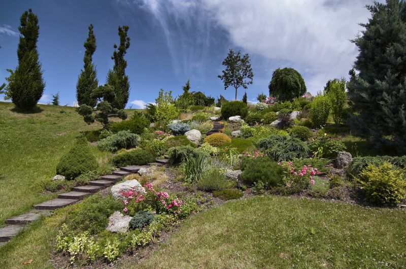 Slope Landscaping