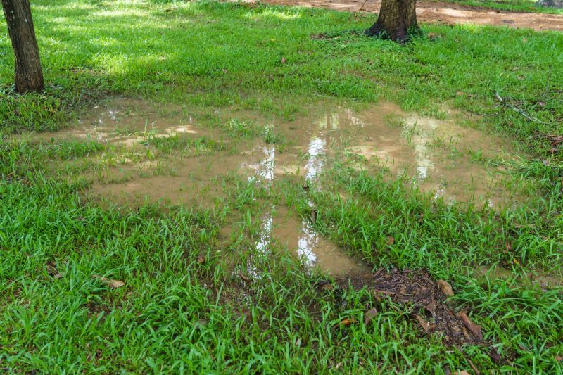 Sloped Yard Landscaping