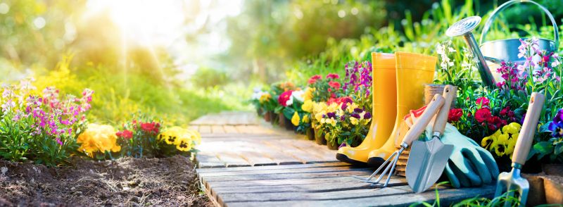Small Garden Landscaping