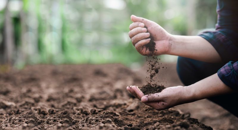 Soil Installation