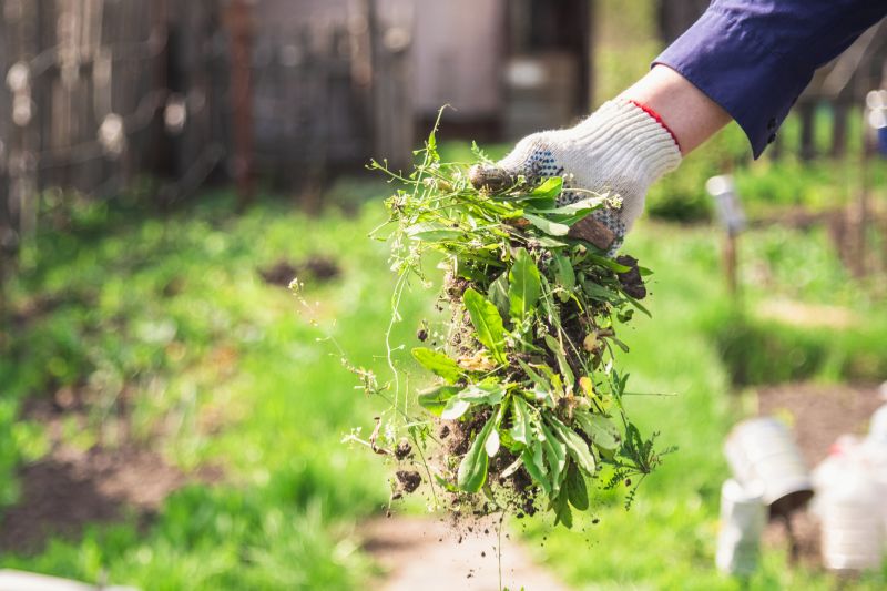 Spring Garden Maintenance