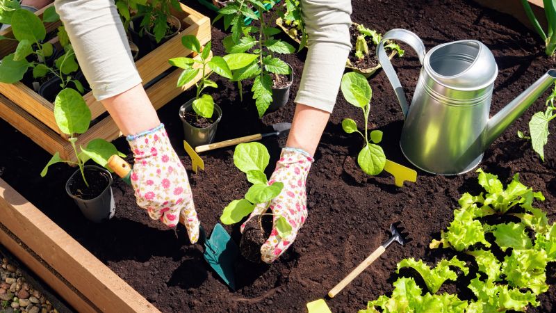 Spring Garden Maintenance