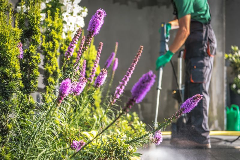 Spring Garden Maintenance