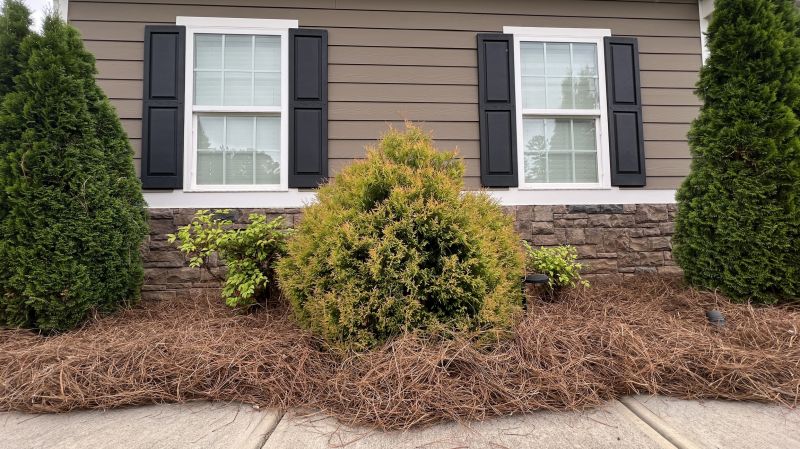 Straw Mulching Service