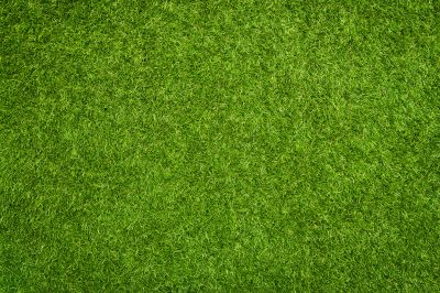 Synthetic Grass Service