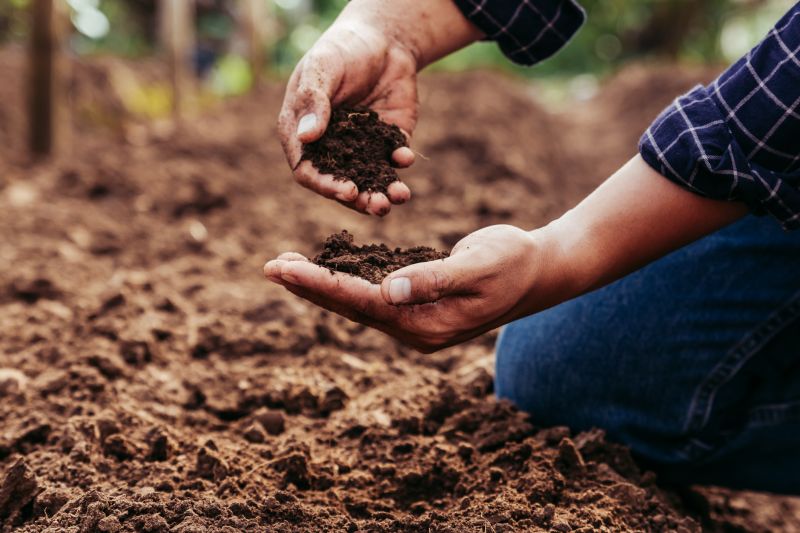 Topsoil Service