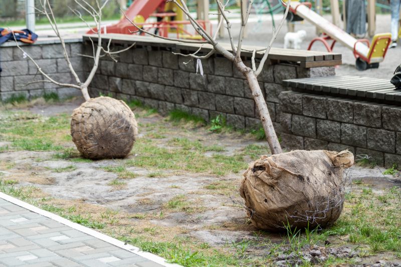 Tree Bark Delivery