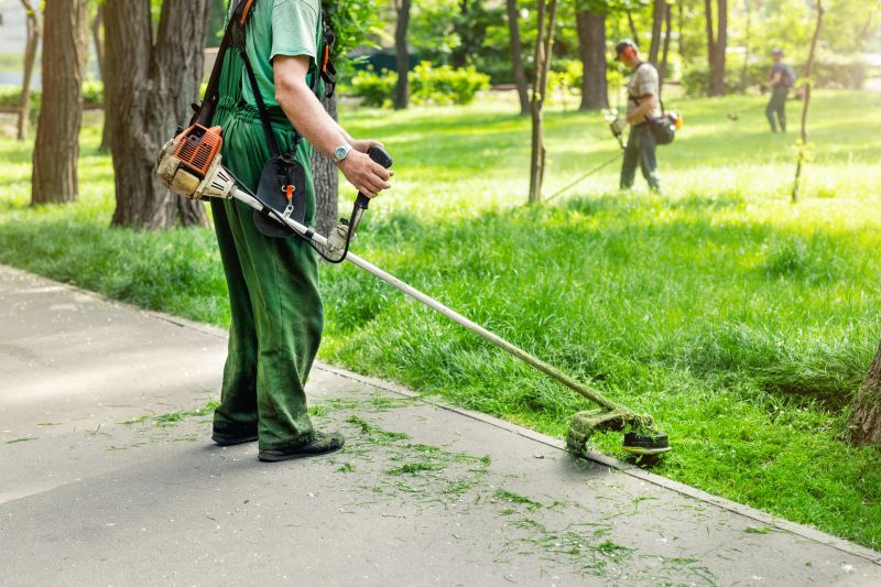 Tree Edging Installation