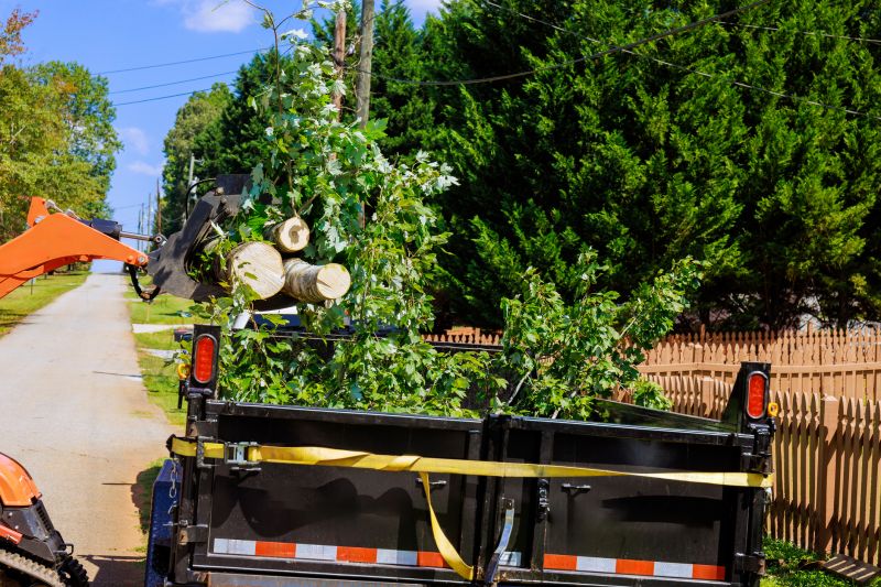 Tree Straightening Service