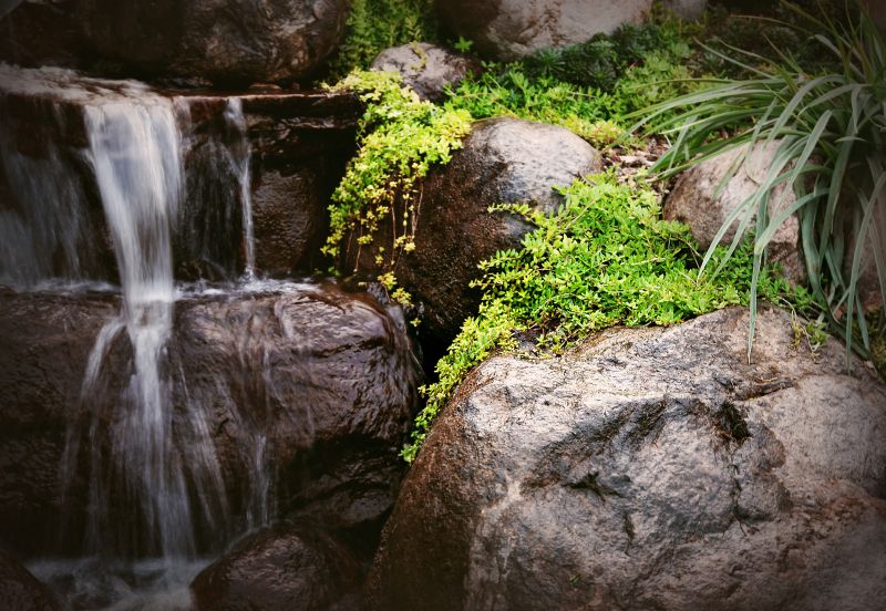 Water Garden Installation