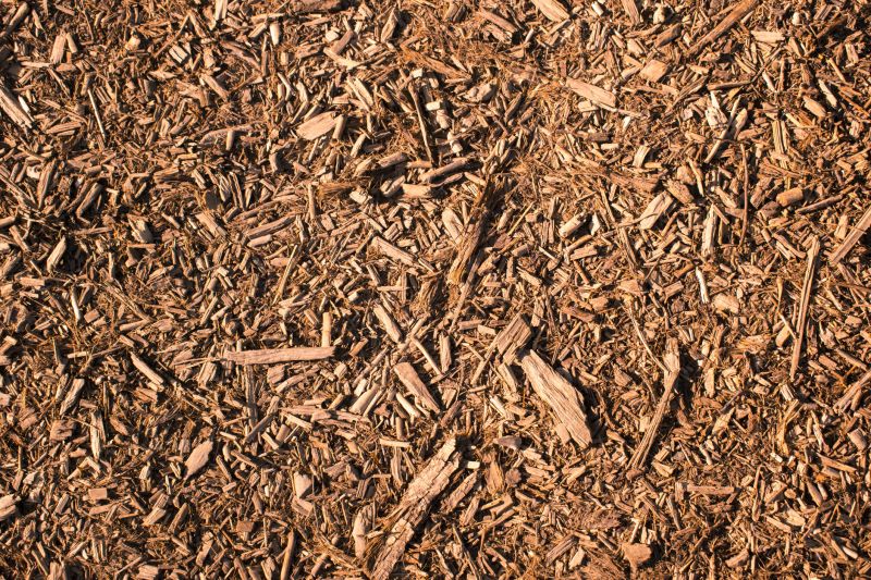 Wood Chips Removal