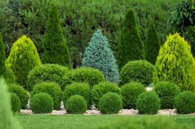 Xeriscape Landscaping
