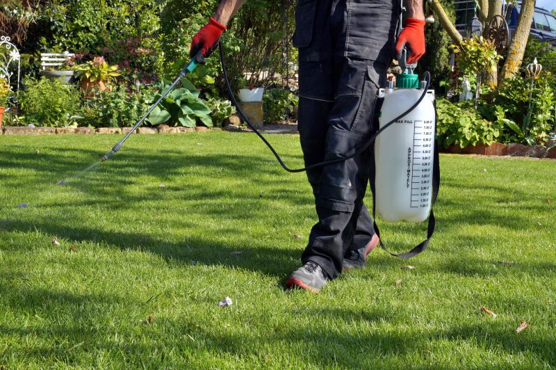 Yard Makeover Service