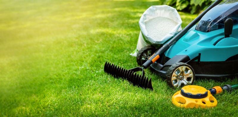 Yard Makeover Service