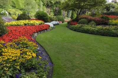 Yard Xeriscaping