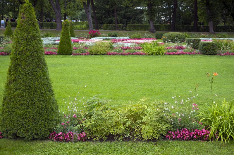 Yard Xeriscaping