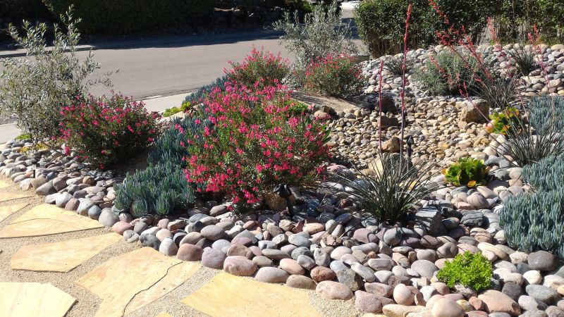 Yard Xeriscaping