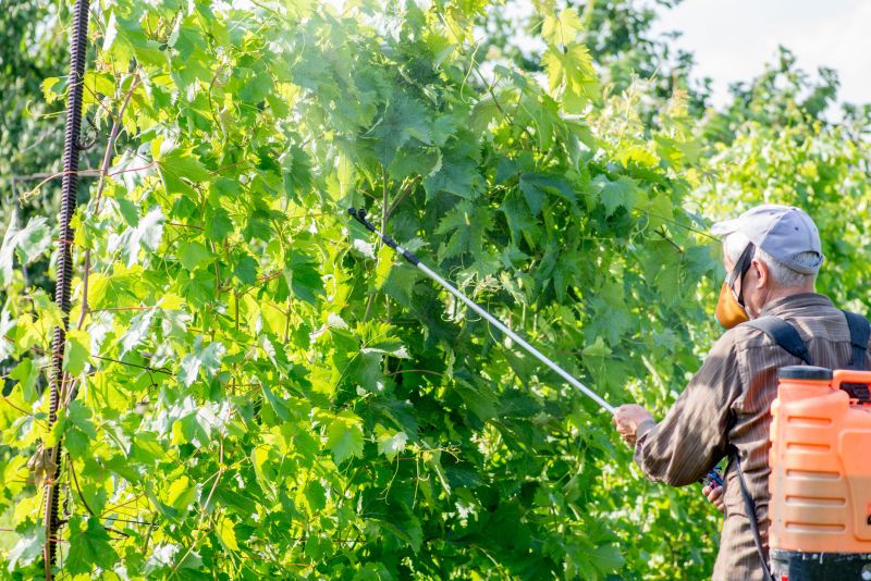 Arborist Spraying