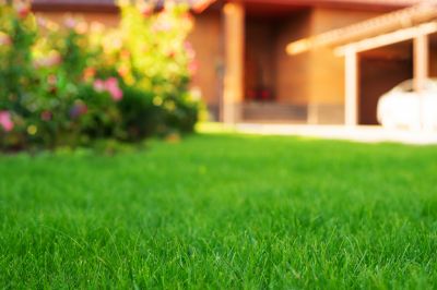 Commercial Lawn Renovation