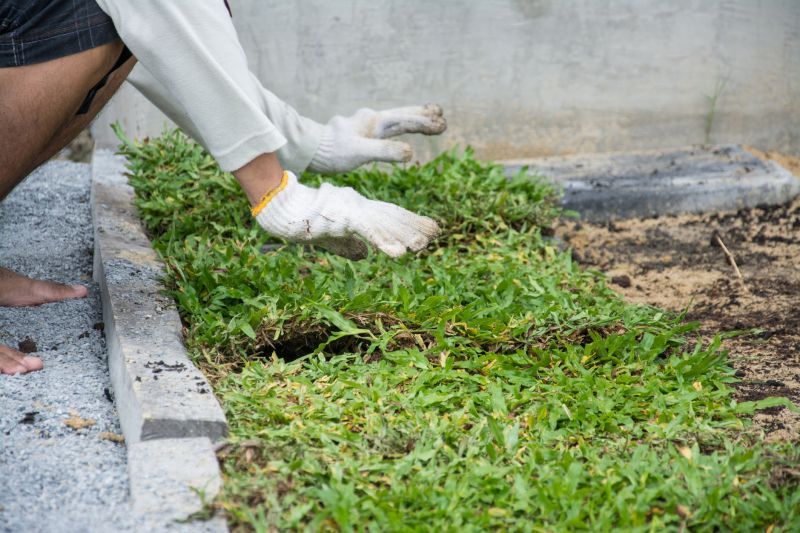 Ground Cover Planting