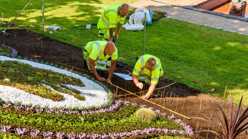 Local Landscaping pros at work