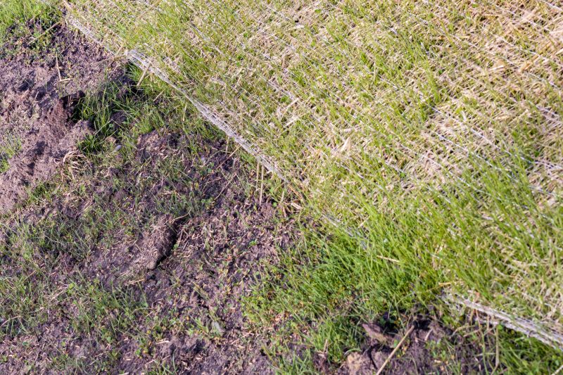 Lawn Erosion Control