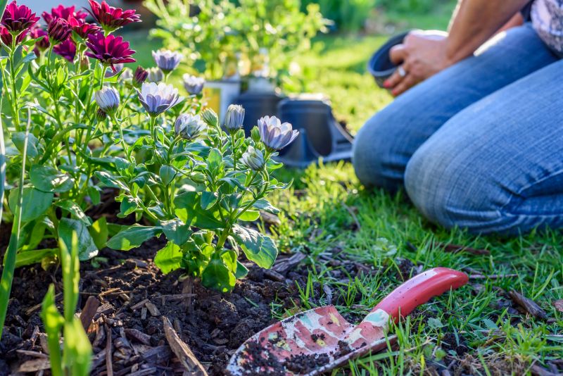 Perennial Landscaping