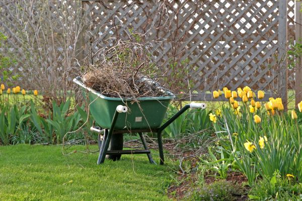 Flower Bed Cleanup Service in Eden Prairie