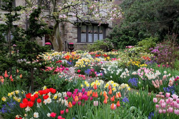 Garden Maintenance Service in Eden Prairie