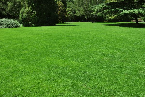 Lawn Landscaping in Eden Prairie