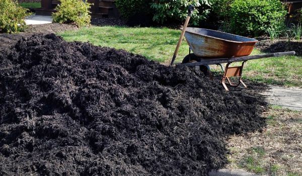 Black Mulch Delivery in Eden Prairie