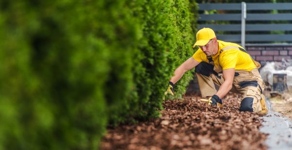 Cypress Mulch Installation in Eden Prairie