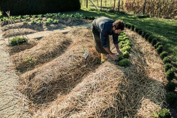 Straw Mulching Service in Eden Prairie